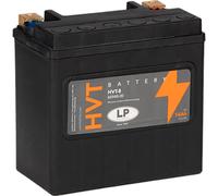 Batteria Di Backup A2115410001 & 61217586977 AGM 12V 14Ah AUX14 LP
