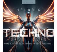 LP Melodic Techno 2026 Various Artists - Vinile Colorato 12"