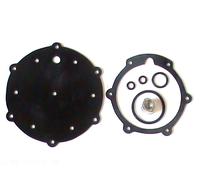 LPG Autogas Kit di Riparazione Vaporizzatore Brc Genius