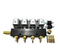 LPG Autogas Valtek Rotaia Tipo 30 Einspritzrail Grigio 4-Zylinder 2 Ohm