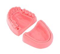 Lpitoy Modello di Pratica di Sutura Dentale 2 Pezzi, Modulo Didattico su Sutura Orale 3 in 1, Formazione su Sutura Gengivale a Ferita Multipla Orale in Silicone Morbido