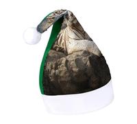 LQPMNK Cappello di Natale, maestosa tigre appoggiata su una roccia con stampa nuvolosa invernale festival copricapo Holiday Photo Prop cappello di Babbo Natale caldo e morbido copricapo per le vacanze