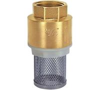 LQRCTRY Filtro della Pompa dell'Acqua della conduttura, Water Pump Pressure Washer Foot Valve Strainer Filter Brass Stainless Steel Multiple Sizes(3/4")