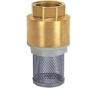 LQRCTRY Filtro della Pompa dell'Acqua della conduttura, Water Pump Pressure Washer Foot Valve Strainer Filter Brass Stainless Steel Multiple Sizes(2)