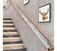 LQSYBHD Corrimano per Scale Interne in Vetro Acrilico Trasparente, Corrimano per Ringhiera in Vetro Trasparente da Parete, Kit di Staffe per Ringhiere Moderne per Scale Interne(Size:80cm/2.6ft)