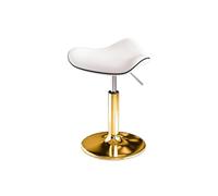 LQVAIPT Sedia da salone bassa for parrucchiere for casa Sedia girevole da cucina con base rotonda Sedia da tatuaggio ad altezza regolabile for salone da ufficio(White)