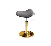 LQVAIPT Sedia da salone bassa for parrucchiere for casa Sedia girevole da cucina con base rotonda Sedia da tatuaggio ad altezza regolabile for salone da ufficio(Burst)