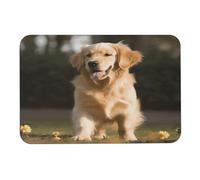 LQWOK Diatom Mud Mat, Golden Retriever Dog stampato camera da letto, tappetino per contorno palestra, tappetino per contorno bagno