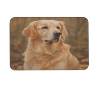 LQWOK Diatom Mud Mat, Golden Retriever stampato camera da letto Mat,Gym Contour Mat,Bagno Contour Mat