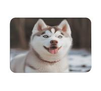LQWOK Diatom Mud Mat, Husky Piquant Dog stampato tappetino camera da letto, tappetino contorno palestra, tappetino contorno bagno