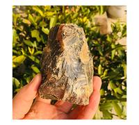 LQYXGS Decorazioni per la casa in Cristallo 1pc Naturale Ambra Pietra Cristallo Roccia Grezza Campioni Minerali Home Decor(90g)