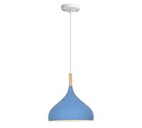 LQZCXMF Paralume alla Moda per Lampadario per La Casa alla Moda da 1 Confezione Lampada A Sospensione da Soffitto Industriale Macaron Opaca Apparecchi di Illuminazione per Decorazioni A Barra
