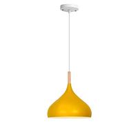 LQZCXMF Paralume alla Moda per Lampadario per La Casa alla Moda da 1 Confezione Lampada A Sospensione da Soffitto Industriale Macaron Opaca Apparecchi di Illuminazione per Decorazioni A Barra