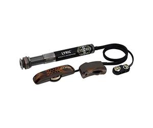 LR Baggs Sistema microfono per chitarra western