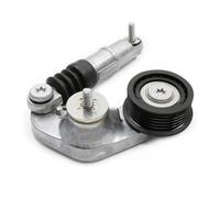 LR028880 LR034128 Tendicinghia Scanalata Con Rullo Puleggia Per Land Rover Per Freelander LR2 Per Range Rover Per Evoque GFVFGNLNNA