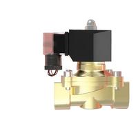 LREDONM Elettrovalvola elettrica di Tipo a Risparmio energetico Impermeabile Valvola di Controllo 'Acqua con Filettatura Femmina normalmente Chiusa in Ottone 24 V 220 V(DN32,24VDC_Normally Closed)