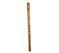 LRXIYODE Flauto Piccolo in Legno G senza Lacca Borsa, Ottavino Verticale Resistente e Portatile per Principianti, Strumento Musicale a Fiato Tradizionale Intonazione Facile