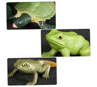 LRXIYODE Set 2 Modelli di Crescita Tartaruga e Figure Realistiche di Evoluzione Animale Decorazioni Educative per Scuole e Musei Scientifici