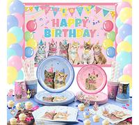 LSJDEER Set di forniture per decorazioni per feste di gatti, stoviglie per gatti con sfondo di buon compleanno per gatti Macaron Palloncini Piatti da dessert Piatti da dessert Tovaglioli- Serve 20