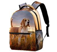 Lsjuee Zaino scolastico per ragazze e ragazzi con scomparto per laptop | Cane da lepre all'aperto che aspetta stampa al tramonto