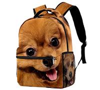 Lsjuee Zaino scolastico per ragazze e ragazzi con scomparto per laptop | Simpatica stampa alla pecorina del cucciolo di cane Spitz