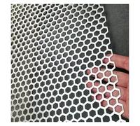 LSSHQ 304 Lamiera Acciaio Inossidabile Perforata, Esteso Metallo Rete Lastra, Schermo Decorativo Reti per Ventilazione Griglia Fumo, Forata(10mm Mesh,50x50cm)