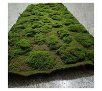 LSSHQ Tappeto Muschio Artificiale di Falso Tamponi per Piante, Coperta di Antiscivolo Tappeto di Artificiale Fai da Te Per Decorazioni Murali(G)