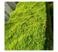 LSSHQ Tappeto Muschio Artificiale di Falso Tamponi per Piante, Coperta di Antiscivolo Tappeto di Artificiale Fai da Te Per Decorazioni Murali(F)