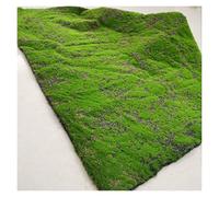 LSSHQ Tappeto Muschio Artificiale di Falso Tamponi per Piante, Coperta di Antiscivolo Tappeto di Artificiale Fai da Te Per Decorazioni Murali(C)