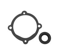 LT Easiyl 2 Pezzi Guarnizione della Pompa dell'Acqua 22072 827247 RM22072 Compatibile con Volvo Penta AQ120 131 145 151 171 230 250
