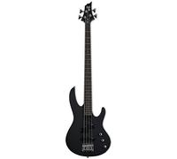 LTD B-10 Black Satin w/Bag