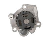 LTD LTD-045121011F Pompa acqua
