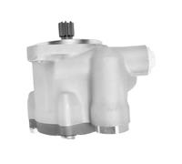 LTHTZO Pompa servosterzo compatibile con Freightliner 60 Peterbilt PEV221615L101 1414323000 1414323004 MIDRP221605X ZYB14516L375 S18458 14516L375 Cinghia pompa servosterzo