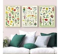 LTjiajuypd Pianta Fiore Albero Fiore Pero Cactus Nordico Schizzo Stampe su Tela Dipinto per Arte Murale Cucina Stanza Decorazione della Casa 50x75cm-3 Pezzi Senza Cornice