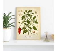 LTjiajuypd Stampa su tela vintage con poster botanico da cucina, dipinto a limone, pepe nero, piante medicinali, quadri da parete, arredamento per la casa, 50x75 cm, senza cornice