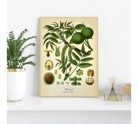 LTjiajuypd Stampa su tela vintage con poster botanico da cucina, dipinto a limone, pepe nero, piante medicinali, quadri da parete, arredamento per la casa, 50x75 cm, senza cornice