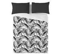 Lua Dreams Custodia, colorata, completa