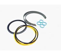 Lubricalia Kit de reconstrucción del pistón hidráulico compatibile con BFT per taglio waterjet