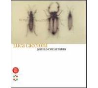Luca Caccioni. Quello che sembra. Ediz. italiana e inglese