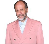 Luca Guadagnino (Pink Suit) Half Body Buddy Cutout