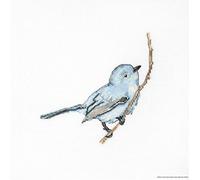 Luca-S B1158 Bluebird - Schema punto croce in cotone, 14 x 14 cm, multicolore
