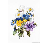 Luca-S B2348 - Kit punto croce con camomilla, in cotone, multicolore, 19 x 24,5 cm