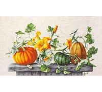 Luca-S Cross Stitch Kit - Pumpkins