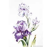 Luca-S set punto croce "Iris", motivo di conteggio, 24x38cm