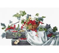 Luca-S - Kit per Ricamo a Punto Croce con Schema numerato, Soggetto: Ribes (v. 2), Colore: Rosso