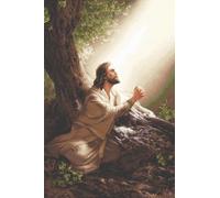 Luca-S Kit punto croce collezione oro - Gesù Cristo, B618