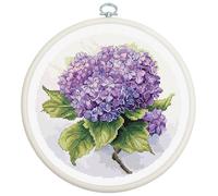 Luca-S Kit punto croce con cerchio incluso, ortensia, BC225