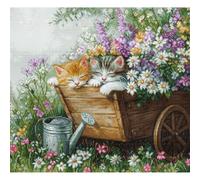 Luca-S kit punto croce contato "Gattini che dormono", 33x30cm