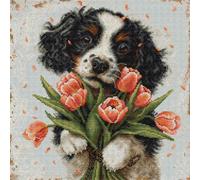 Luca-S kit punto croce contato "Il cucciolo di Cocker Spaniel", 27x27cm, fai da