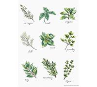 Luca-S Kit punto croce, cotone, multicolore, 21,5 x 30,5cm